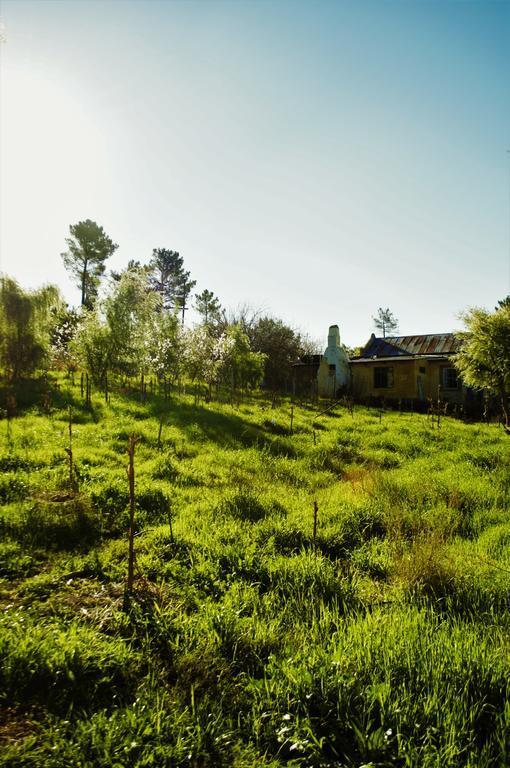 Bethany Farm Twee Riviere Exterior foto