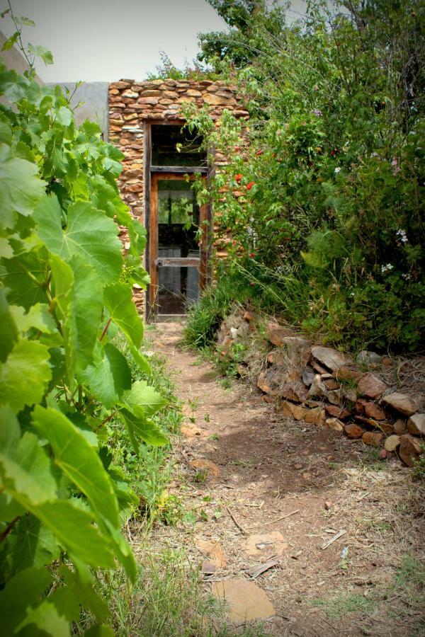 Bethany Farm Twee Riviere Exterior foto